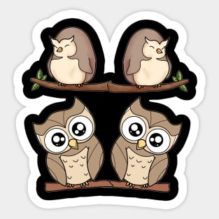 Cute Owls Sticker